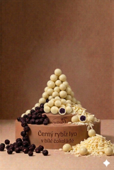 Černý rybíz lyo v bílé čokoládě 5 kg